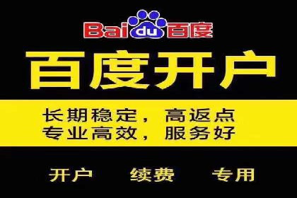 SEM服务公司助力企业品牌推广案例
